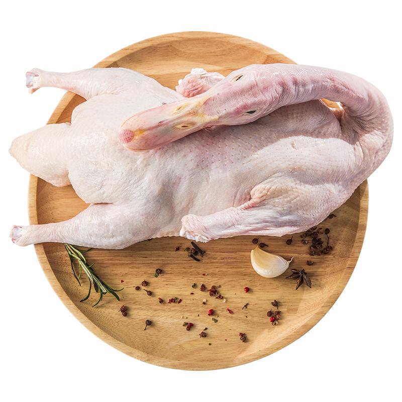 生鲜 北京鸭 B级 带颈无内脏1.8-2kg/Peking Ente B-Klasse mit Hals und ohne innere Organe 1.9-2kg