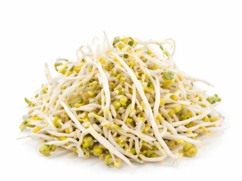 【München】豆芽 Mungbohnensprossen