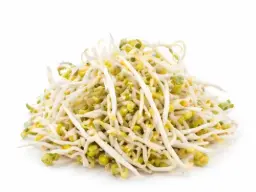 【München】豆芽 Mungbohnensprossen