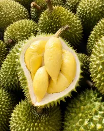【München】榴莲 Durian