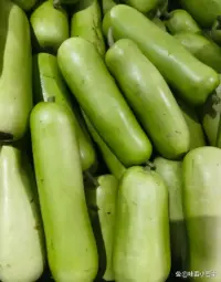 【München】蒲瓜 Bầu 1kg